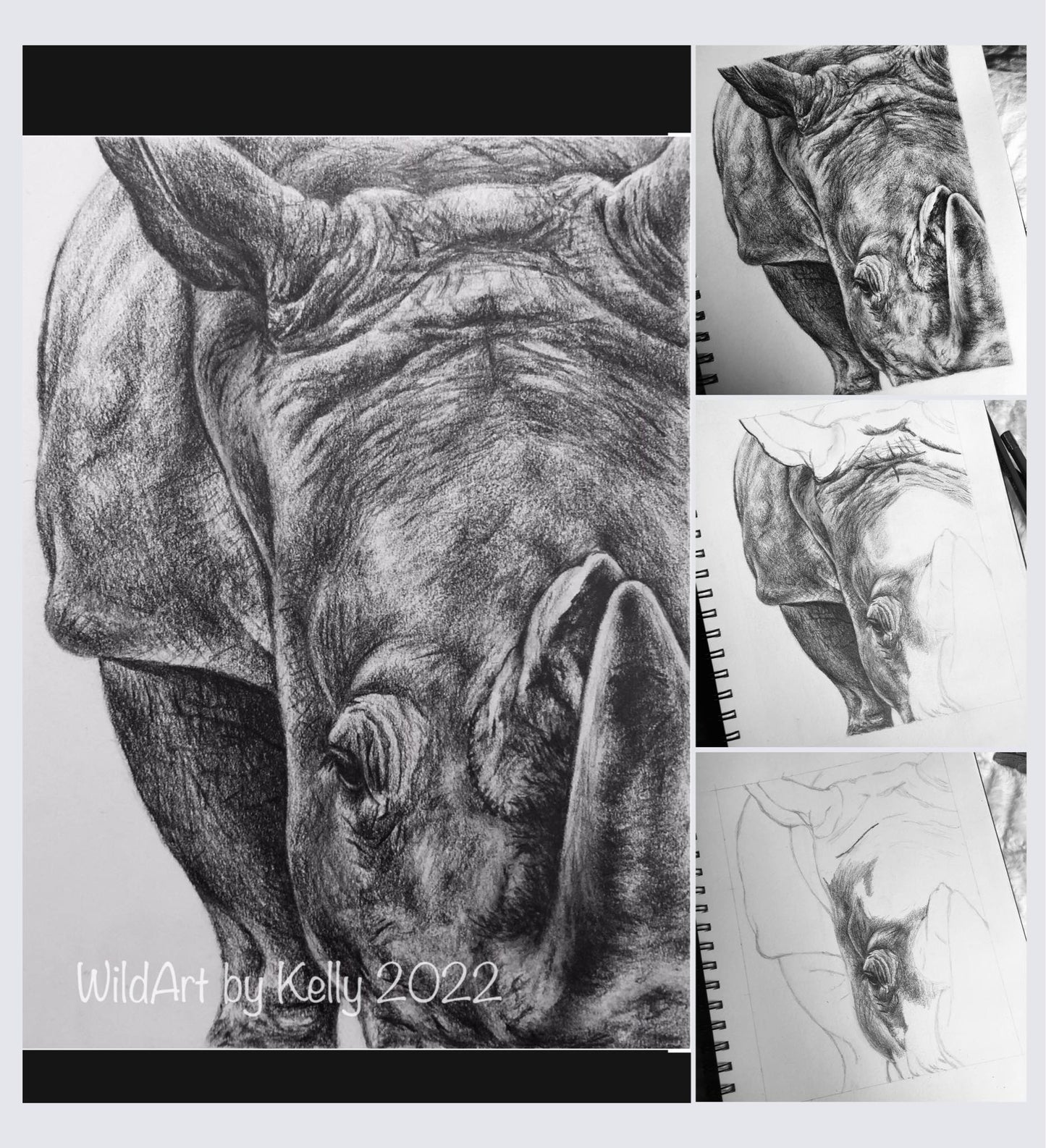 'Rhino' Fine Art Print