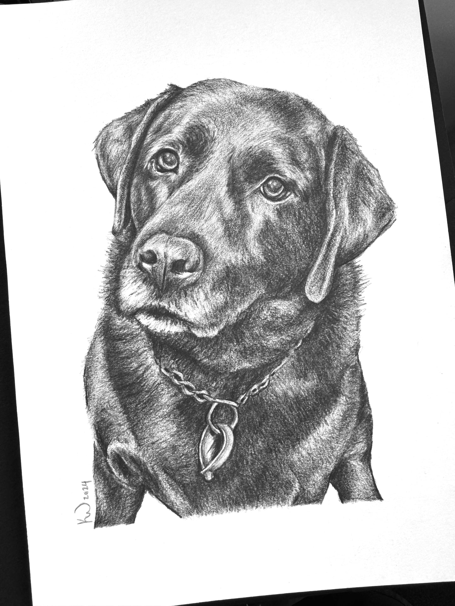 Personalised Pet Portraits & Commissions