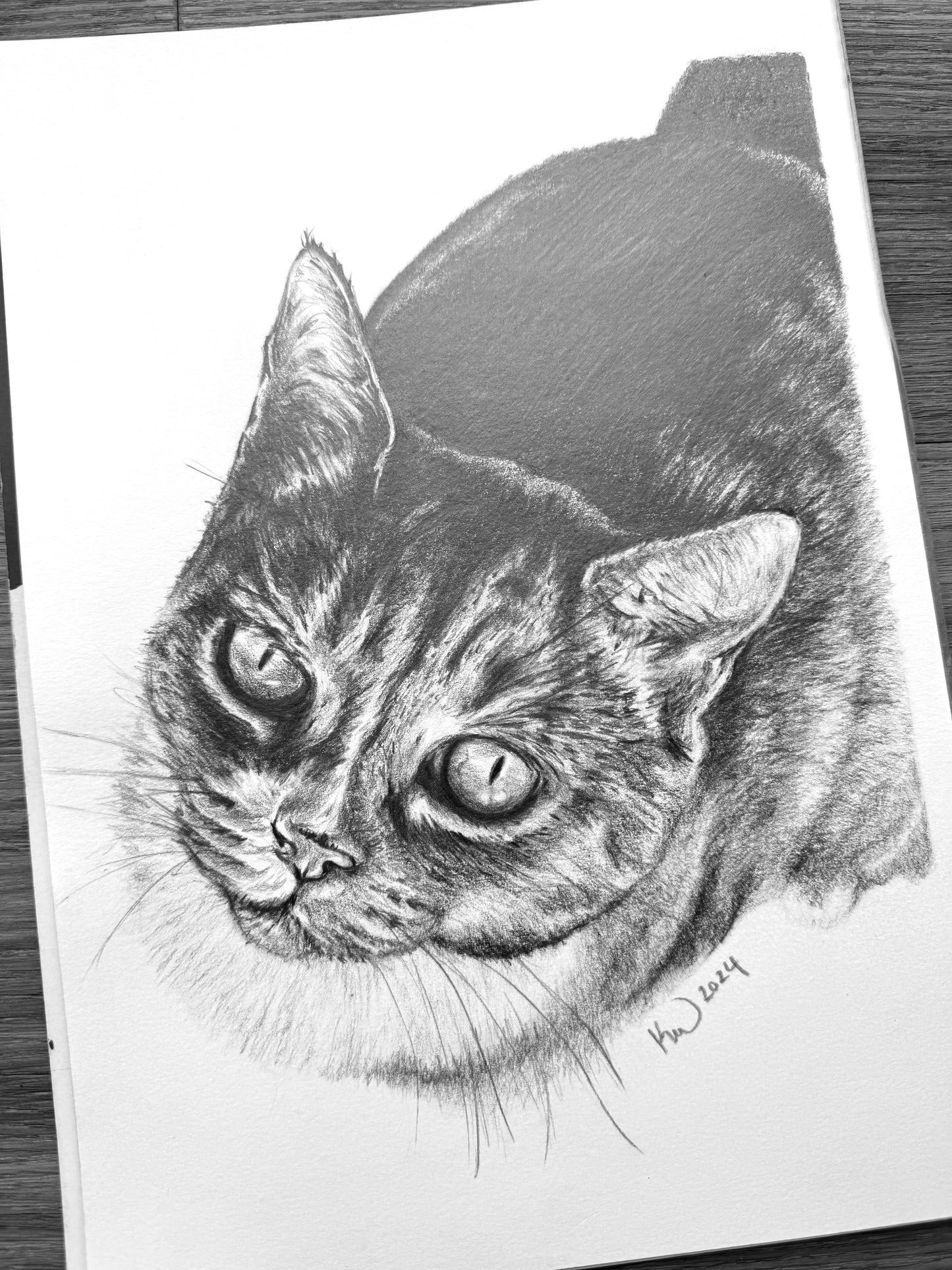 Personalised Pet Portraits & Commissions