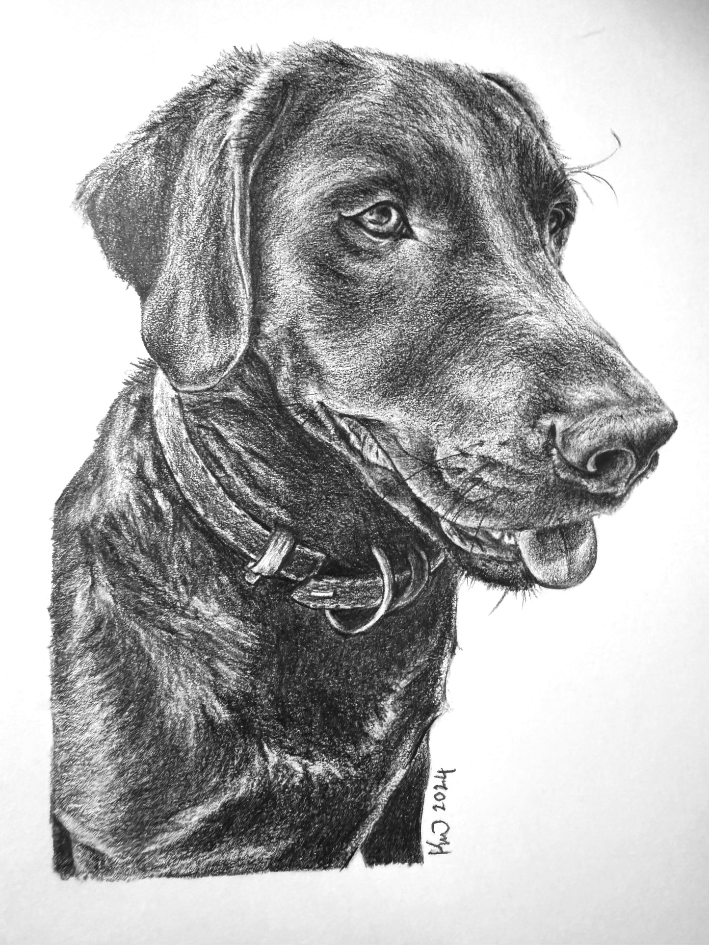Personalised Pet Portraits & Commissions