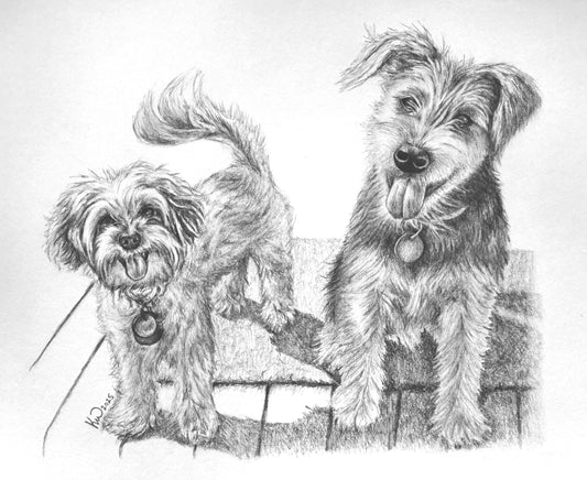 Personalised Pet Portraits & Commissions