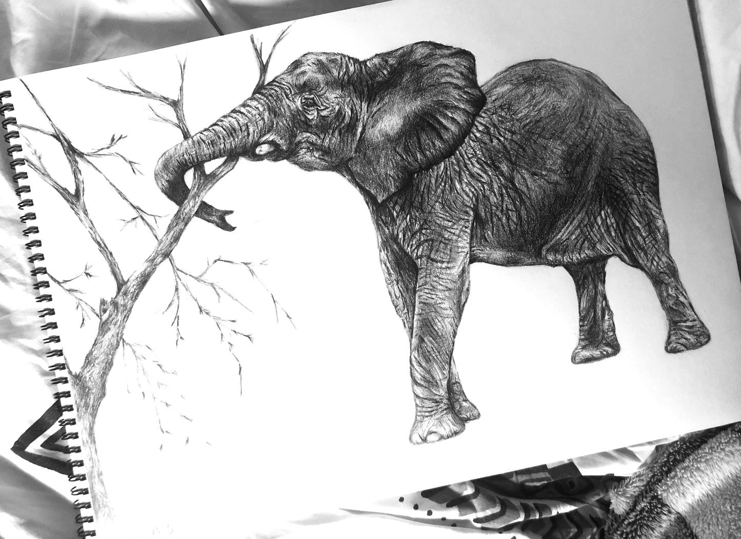 Personalised Pet Portraits & Commissions