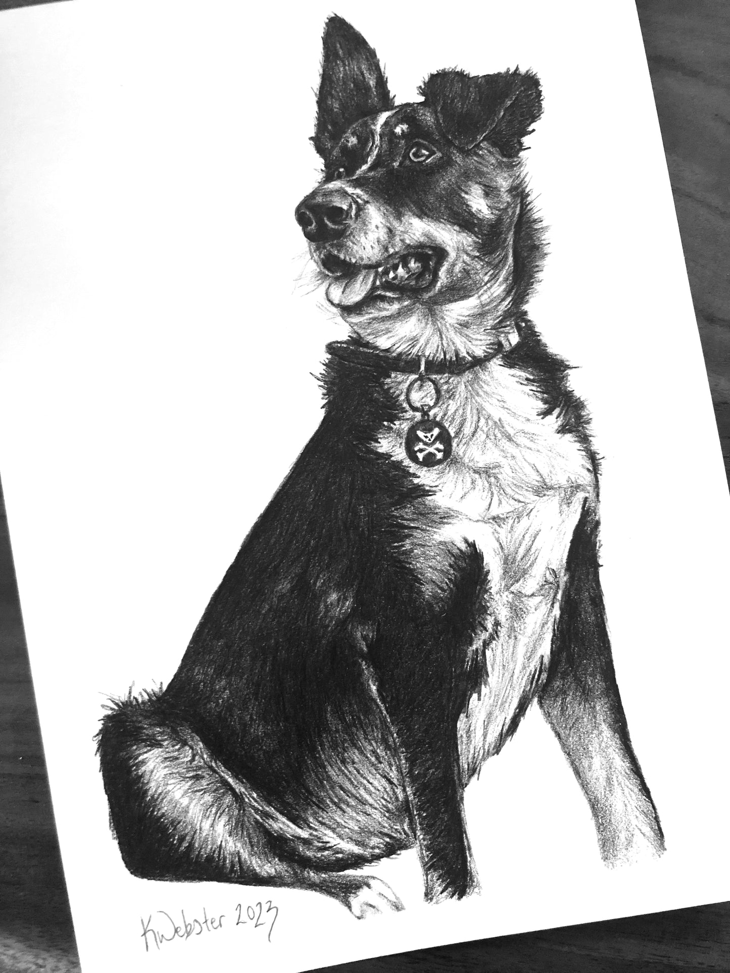 Personalised Pet Portraits & Commissions