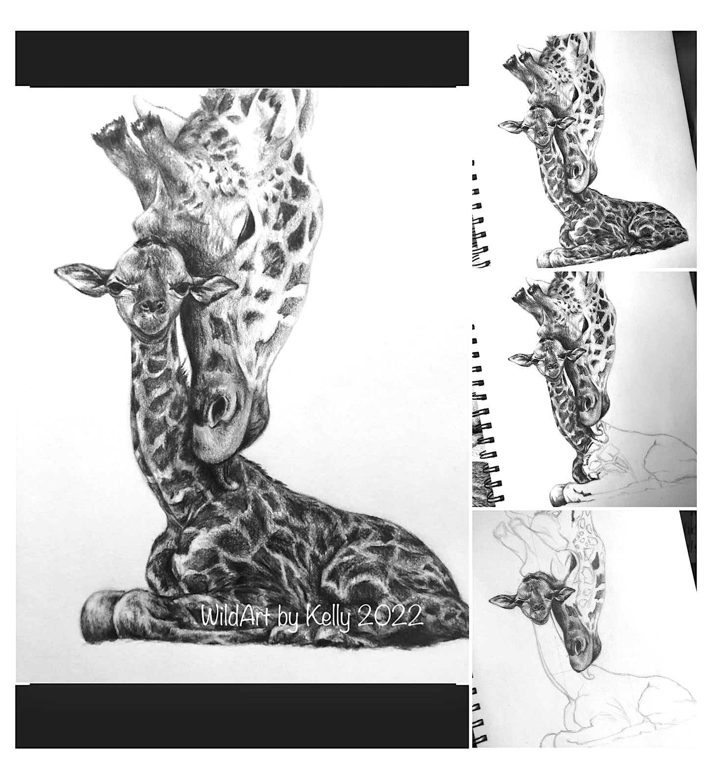 'New Life' Fine Art Print