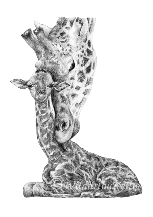 'New Life' Fine Art Print